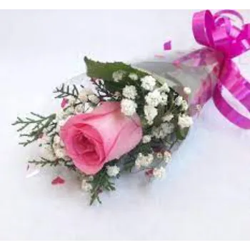 Natural Pink Rose